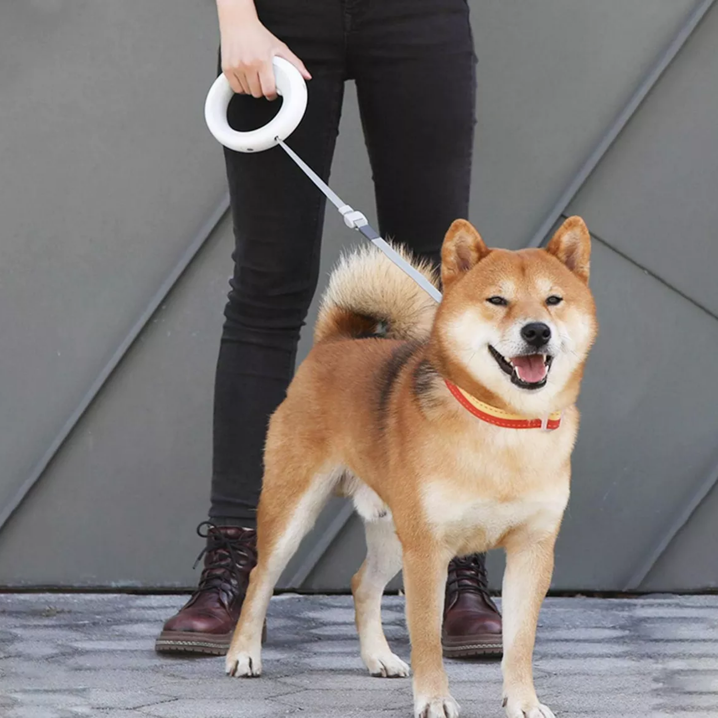PawLead™ – Correa Retráctil para Mascota con Freno