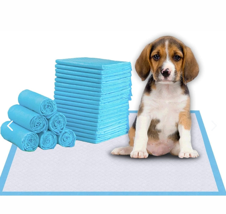 Kit 12 Pads Para Mascota Absorbente