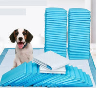 Kit 12 Pads Para Mascota Absorbente