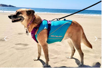 Capas Perro Con Filtro Solar Upf 50