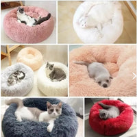 Cama Antiestres Para Mascotas 60cm